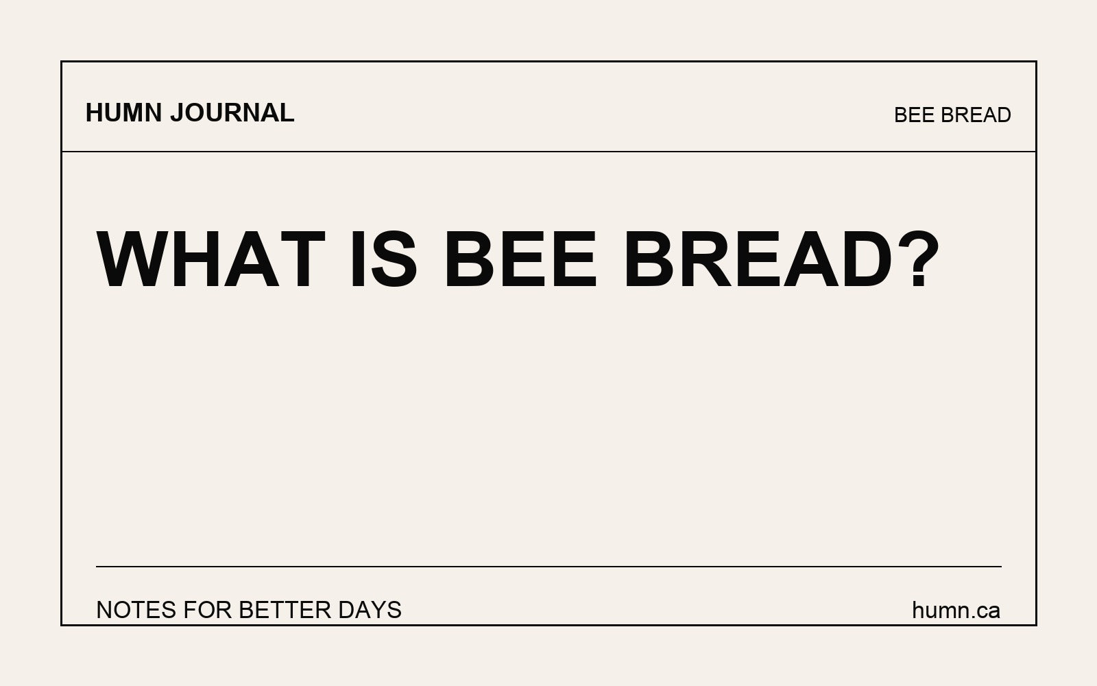 What Is Bee Bread?