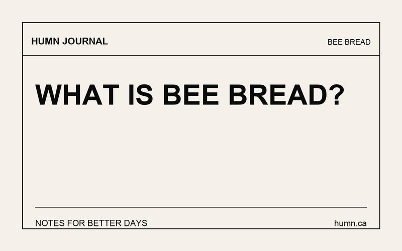 What Is Bee Bread?